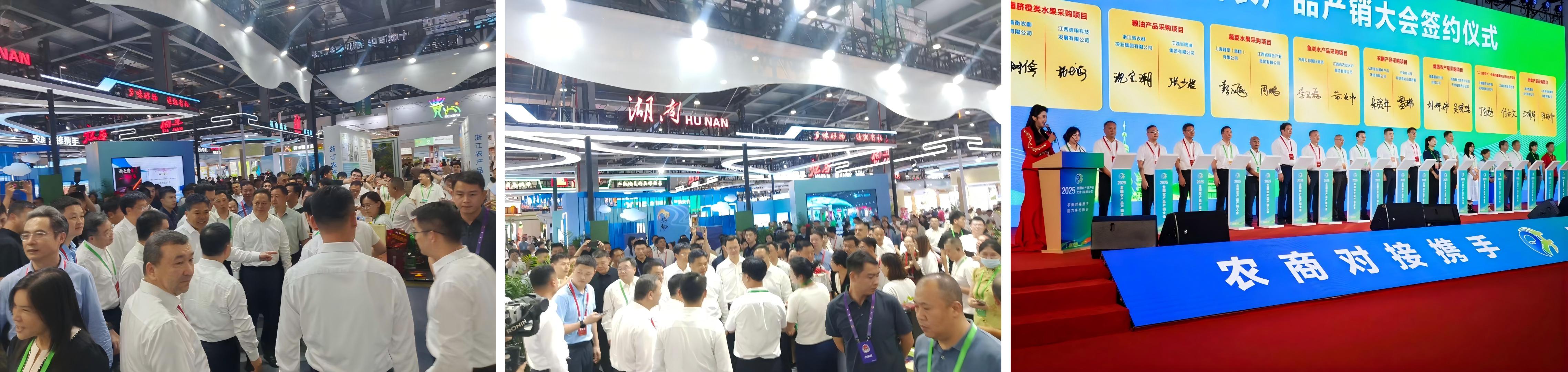 WPS拼图5